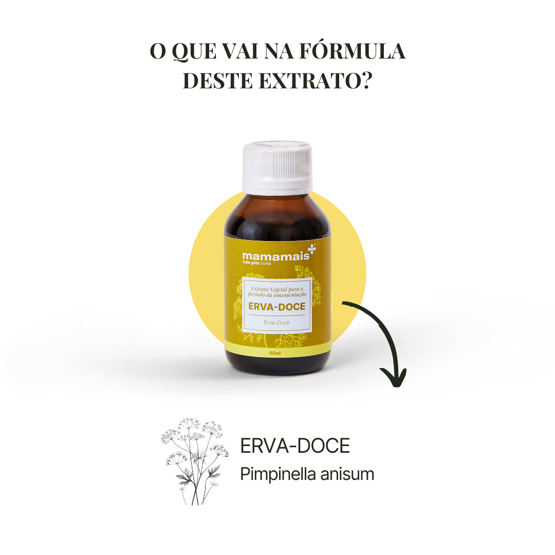 Extrato Vegetal Mamamais Erva Doce